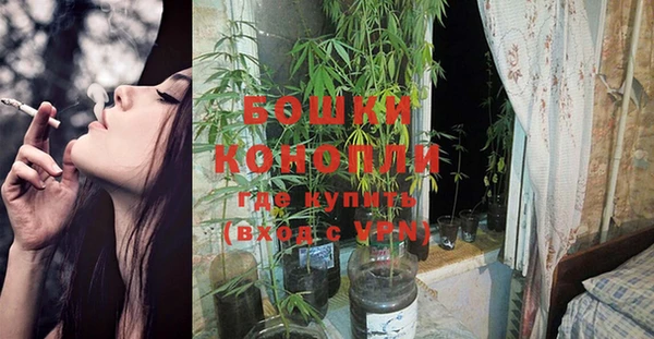 каннабис Баксан