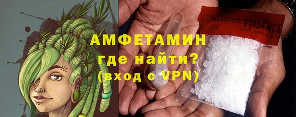 индика Балабаново